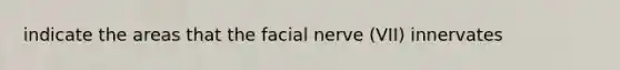 indicate the areas that the facial nerve (VII) innervates