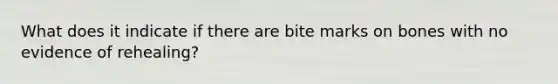 What does it indicate if there are bite marks on bones with no evidence of rehealing?