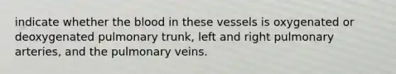 indicate whether the blood in these vessels is oxygenated or deoxygenated pulmonary trunk, left and right pulmonary arteries, and the pulmonary veins.