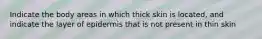 Indicate the body areas in which thick skin is located, and indicate the layer of epidermis that is not present in thin skin