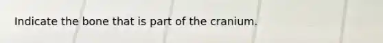 Indicate the bone that is part of the cranium.