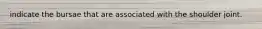 indicate the bursae that are associated with the shoulder joint.