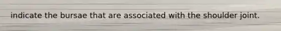 indicate the bursae that are associated with the shoulder joint.