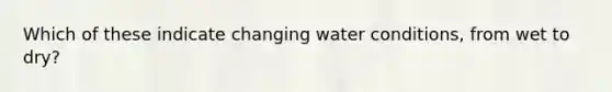 Which of these indicate changing water conditions, from wet to dry?