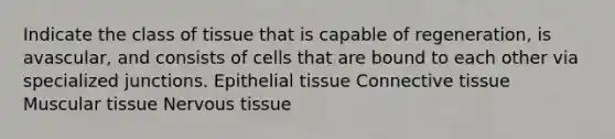 Indicate the class of tissue that is capable of regeneration, is avascular, and consists of cells that are bound to each other via specialized junctions. <a href='https://www.questionai.com/knowledge/k7dms5lrVY-epithelial-tissue' class='anchor-knowledge'>epithelial tissue</a> <a href='https://www.questionai.com/knowledge/kYDr0DHyc8-connective-tissue' class='anchor-knowledge'>connective tissue</a> Muscular tissue Nervous tissue