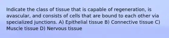 Indicate the class of tissue that is capable of regeneration, is avascular, and consists of cells that are bound to each other via specialized junctions. A) Epithelial tissue B) Connective tissue C) Muscle tissue D) Nervous tissue