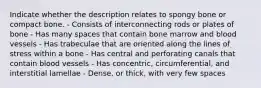 Indicate whether the description relates to spongy bone or compact bone. - Consists of interconnecting rods or plates of bone - Has many spaces that contain bone marrow and blood vessels - Has trabeculae that are oriented along the lines of stress within a bone - Has central and perforating canals that contain blood vessels - Has concentric, circumferential, and interstitial lamellae - Dense, or thick, with very few spaces