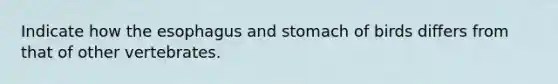 Indicate how the esophagus and stomach of birds differs from that of other vertebrates.