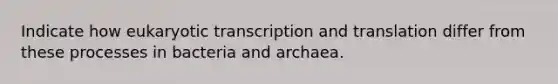 Indicate how eukaryotic transcription and translation differ from these processes in bacteria and archaea.