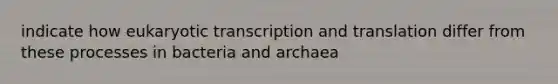 indicate how eukaryotic transcription and translation differ from these processes in bacteria and archaea