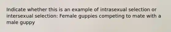 Indicate whether this is an example of intrasexual selection or intersexual selection: Female guppies competing to mate with a male guppy