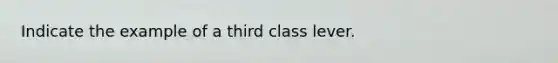 Indicate the example of a third class lever.