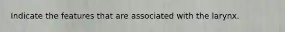 Indicate the features that are associated with the larynx.