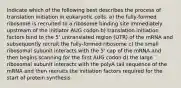 Indicate which of the following best describes the process of translation initiation in eukaryotic cells. a) the fully-formed ribosome is recruited to a ribosome binding site immediately upstream of the initiator AUG codon b) translation initiation factors bind to the 5' untranslated region (UTR) of the mRNA and subsequently recruit the fully-formed ribosome c) the small ribosomal subunit interacts with the 5' cap of the mRNA and then begins scanning for the first AUG codon d) the large ribosomal subunit interacts with the polyA tail sequence of the mRNA and then recruits the initiation factors required for the start of protein synthesis