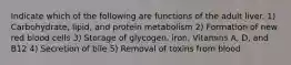 Indicate which of the following are functions of the adult liver. 1) Carbohydrate, lipid, and protein metabolism 2) Formation of new red blood cells 3) Storage of glycogen, iron, Vitamins A, D, and B12 4) Secretion of bile 5) Removal of toxins from blood