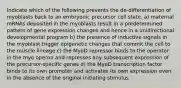 Indicate which of the following prevents the de-differentiation of myoblasts back to an embryonic precursor cell state. a) maternal mRNAs deposited in the myoblasts result in a predetermined pattern of gene expression changes and hence in a unidirectional developmental program b) the presence of inductive signals in the myoblast trigger epigenetic changes that commit the cell to the muscle lineage c) the MyoD repressor binds to the operator in the myo operon and represses any subsequent expression of the precursor-specific genes d) the MyoD transcription factor binds to its own promoter and activates its own expression even in the absence of the original initiating stimulus