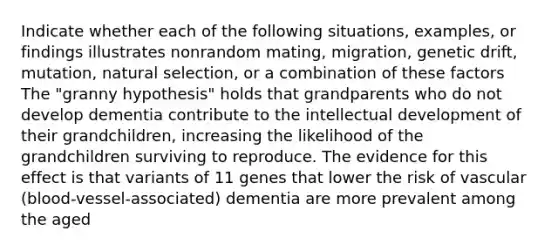 Indicate whether each of the following situations, examples, or findings illustrates nonrandom mating, migration, genetic drift, mutation, natural selection, or a combination of these factors The "granny hypothesis" holds that grandparents who do not develop dementia contribute to the intellectual development of their grandchildren, increasing the likelihood of the grandchildren surviving to reproduce. The evidence for this effect is that variants of 11 genes that lower the risk of vascular (blood-vessel-associated) dementia are more prevalent among the aged