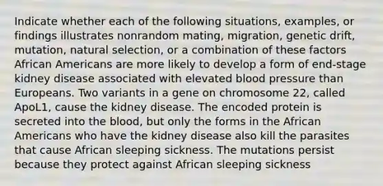 Indicate whether each of the following situations, examples, or findings illustrates nonrandom mating, migration, genetic drift, mutation, natural selection, or a combination of these factors African Americans are more likely to develop a form of end-stage kidney disease associated with elevated blood pressure than Europeans. Two variants in a gene on chromosome 22, called ApoL1, cause the kidney disease. The encoded protein is secreted into the blood, but only the forms in the African Americans who have the kidney disease also kill the parasites that cause African sleeping sickness. The mutations persist because they protect against African sleeping sickness