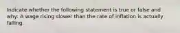 Indicate whether the following statement is true or false and why: A wage rising slower than the rate of inflation is actually falling.