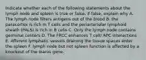 Indicate whether each of the following statements about the lymph node and spleen is true or false. If false, explain why A. The lymph node filters antigens out of the blood B. the paracortex is rich in T cells and the periarteriolar lymphoid sheath (PALS) is rich in B cells C. Only the lymph node contains germinal centers D. The FRCC enhances T cell/ APC interactions E. Afferent lymphatic vessels draining the tissue spaces enter the spleen F. lymph node but not spleen function is affected by a knockout of the Ikaros gene.