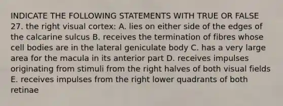 INDICATE THE FOLLOWING STATEMENTS WITH TRUE OR FALSE 27. the right visual cortex: A. lies on either side of the edges of the calcarine sulcus B. receives the termination of fibres whose cell bodies are in the lateral geniculate body C. has a very large area for the macula in its anterior part D. receives impulses originating from stimuli from the right halves of both visual fields E. receives impulses from the right lower quadrants of both retinae