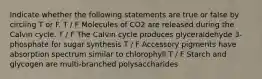 Indicate whether the following statements are true or false by circling T or F. T / F Molecules of CO2 are released during the Calvin cycle. T / F The Calvin cycle produces glyceraldehyde 3-phosphate for sugar synthesis T / F Accessory pigments have absorption spectrum similar to chlorophyll T / F Starch and glycogen are multi-branched polysaccharides