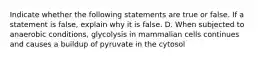 Indicate whether the following statements are true or false. If a statement is false, explain why it is false. D. When subjected to anaerobic conditions, glycolysis in mammalian cells continues and causes a buildup of pyruvate in the cytosol