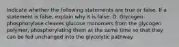 Indicate whether the following statements are true or false. If a statement is false, explain why it is false. D. Glycogen phosphorylase cleaves glucose monomers from the glycogen polymer, phosphorylating them at the same time so that they can be fed unchanged into the glycolytic pathway.