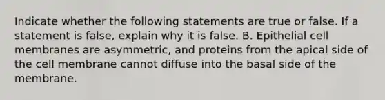 Indicate whether the following statements are true or false. If a statement is false, explain why it is false. B. Epithelial cell membranes are asymmetric, and proteins from the apical side of the cell membrane cannot diffuse into the basal side of the membrane.