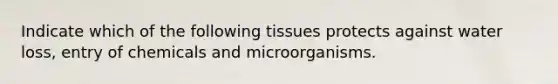 Indicate which of the following tissues protects against water loss, entry of chemicals and microorganisms.