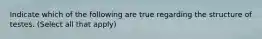 Indicate which of the following are true regarding the structure of testes. (Select all that apply)