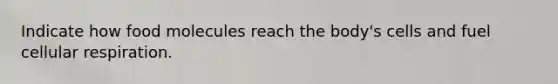 Indicate how food molecules reach the body's cells and fuel cellular respiration.