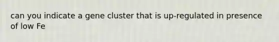 can you indicate a gene cluster that is up-regulated in presence of low Fe