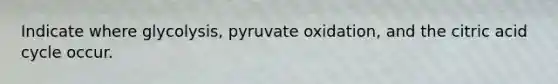 Indicate where glycolysis, pyruvate oxidation, and the citric acid cycle occur.