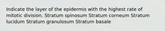 Indicate the layer of the epidermis with the highest rate of mitotic division. Stratum spinosum Stratum corneum Stratum lucidum Stratum granulosum Stratum basale