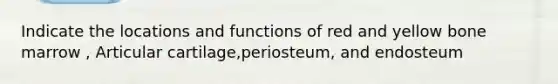 Indicate the locations and functions of red and yellow bone marrow , Articular cartilage,periosteum, and endosteum