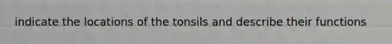 indicate the locations of the tonsils and describe their functions