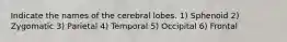 Indicate the names of the cerebral lobes. 1) Sphenoid 2) Zygomatic 3) Parietal 4) Temporal 5) Occipital 6) Frontal