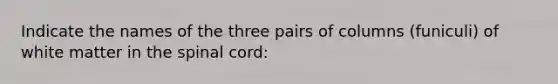 Indicate the names of the three pairs of columns (funiculi) of white matter in the spinal cord: