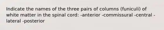 Indicate the names of the three pairs of columns (funiculi) of white matter in the spinal cord: -anterior -commissural -central -lateral -posterior