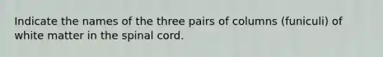 Indicate the names of the three pairs of columns (funiculi) of white matter in <a href='https://www.questionai.com/knowledge/kkAfzcJHuZ-the-spinal-cord' class='anchor-knowledge'>the spinal cord</a>.