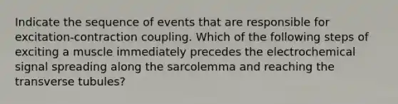 Indicate the sequence of events that are responsible for excitation-contraction coupling. Which of the following steps of exciting a muscle immediately precedes the electrochemical signal spreading along the sarcolemma and reaching the transverse tubules?