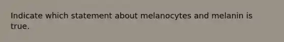 Indicate which statement about melanocytes and melanin is true.