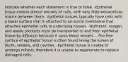 Indicate whether each statement is true or false. -Epithelial tissue consist almost entirely of cells, with very little extracellular matrix between them. -Epithelial tissues typically have cells with a basal surface that is attached to an apical membrane that attaches epithelial cells to underlying tissues. -Nutrients, oxygen, and waste products must be transported to and from epithelial tissue by diffusion because it lacks blood vessels. - The free surface of epithelial tissue is often found lining the lumen of ducts, vessels, and cavities. -Epithelial tissue is unable to undergo mitosis; therefore it is unable to regenerate to replace damaged cells.