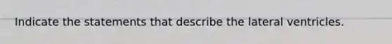 Indicate the statements that describe the lateral ventricles.