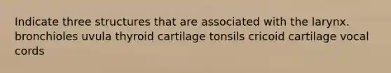 Indicate three structures that are associated with the larynx. bronchioles uvula thyroid cartilage tonsils cricoid cartilage vocal cords