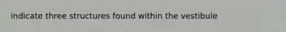 indicate three structures found within the vestibule