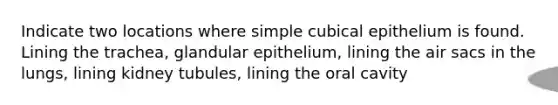 Indicate two locations where simple cubical epithelium is found. Lining the trachea, glandular epithelium, lining the air sacs in the lungs, lining kidney tubules, lining the oral cavity