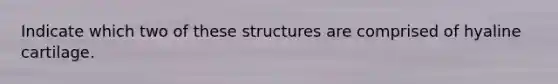 Indicate which two of these structures are comprised of hyaline cartilage.