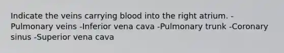 Indicate the veins carrying blood into the right atrium. -Pulmonary veins -Inferior vena cava -Pulmonary trunk -Coronary sinus -Superior vena cava